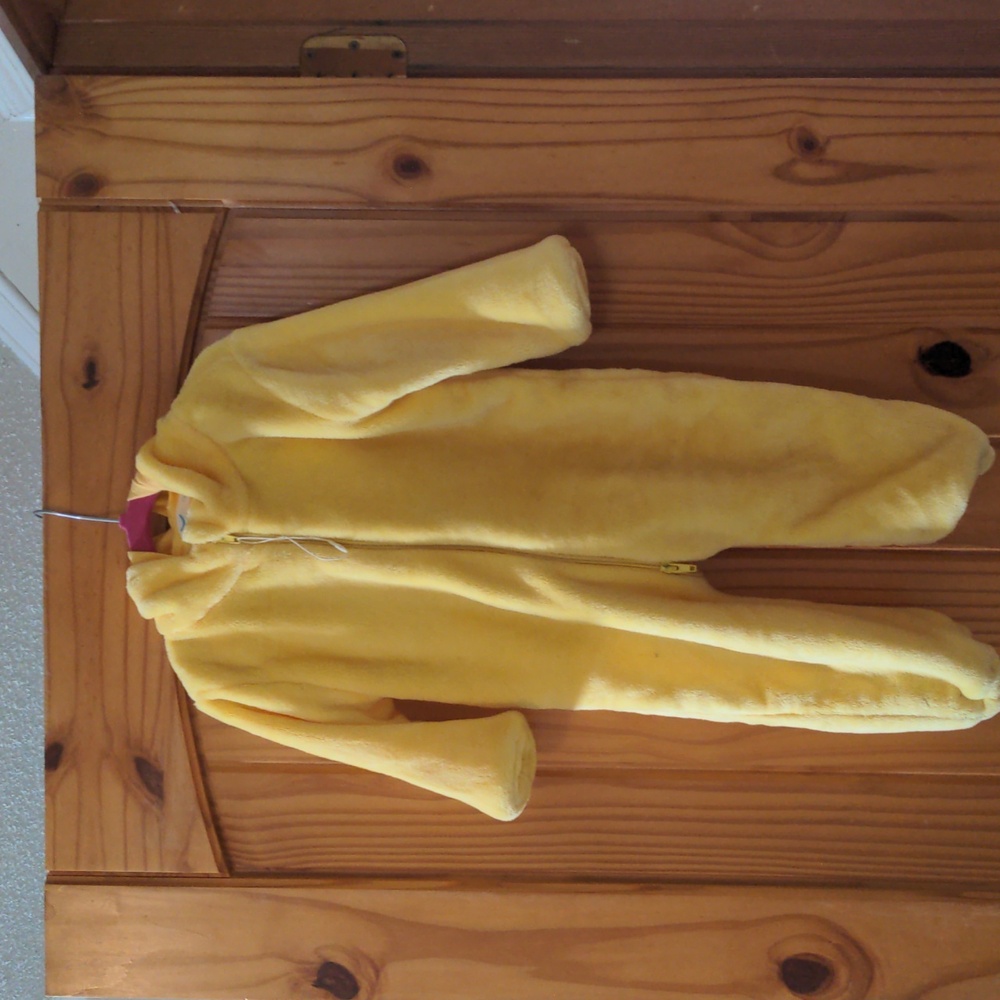 Pikachu costume